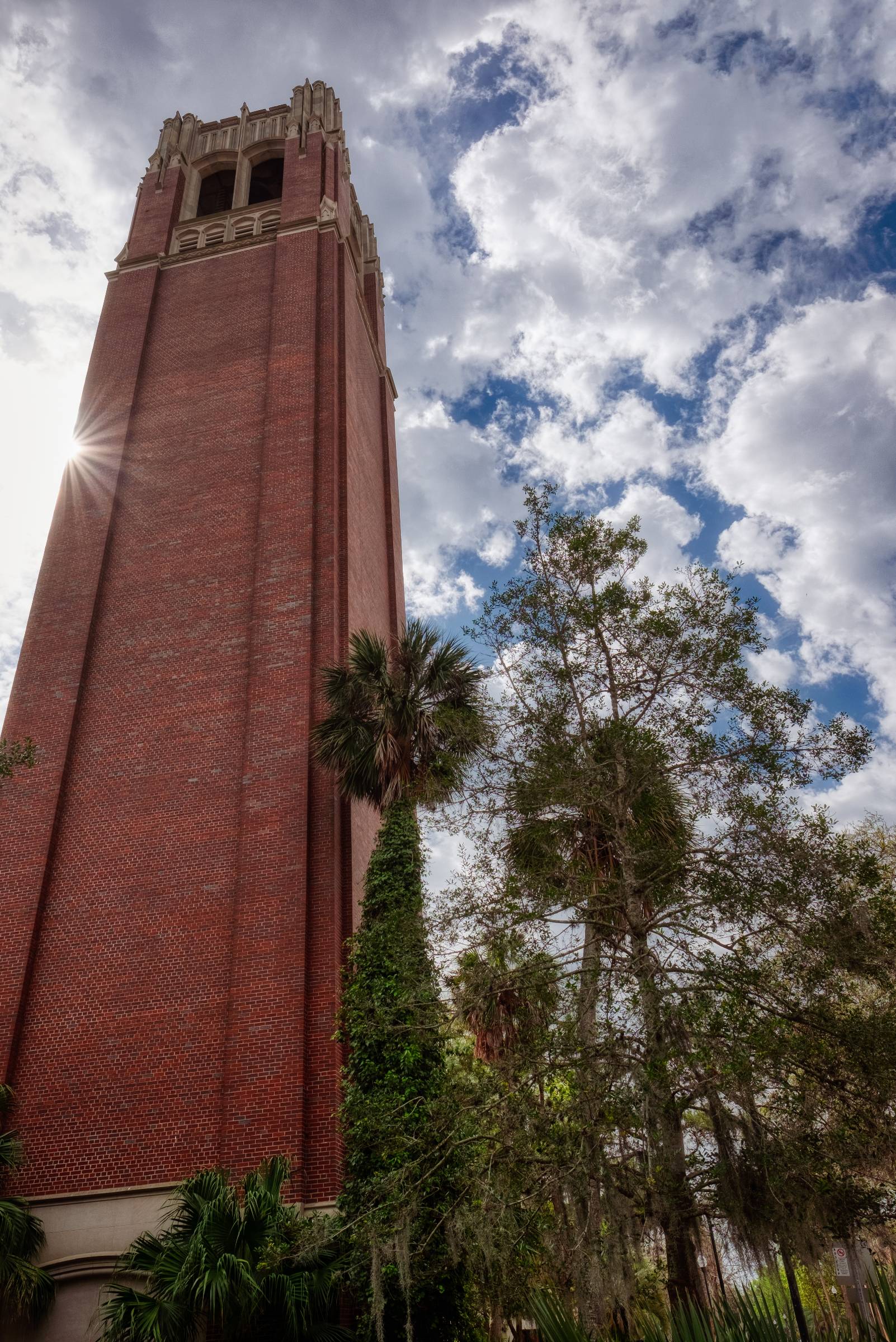 DSCF8016 Edit 2 Edit