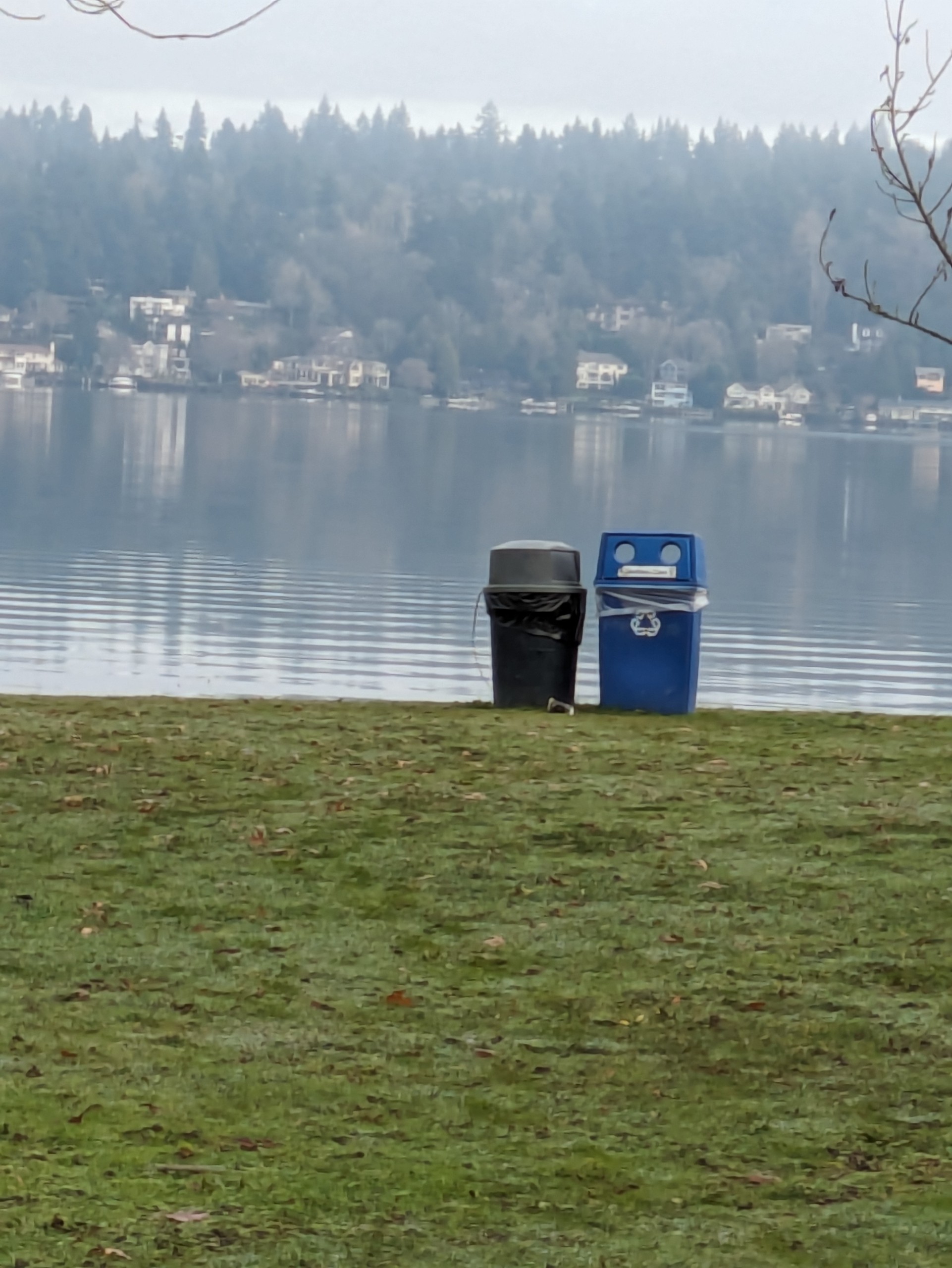 PXL 20240101 201702142.MP