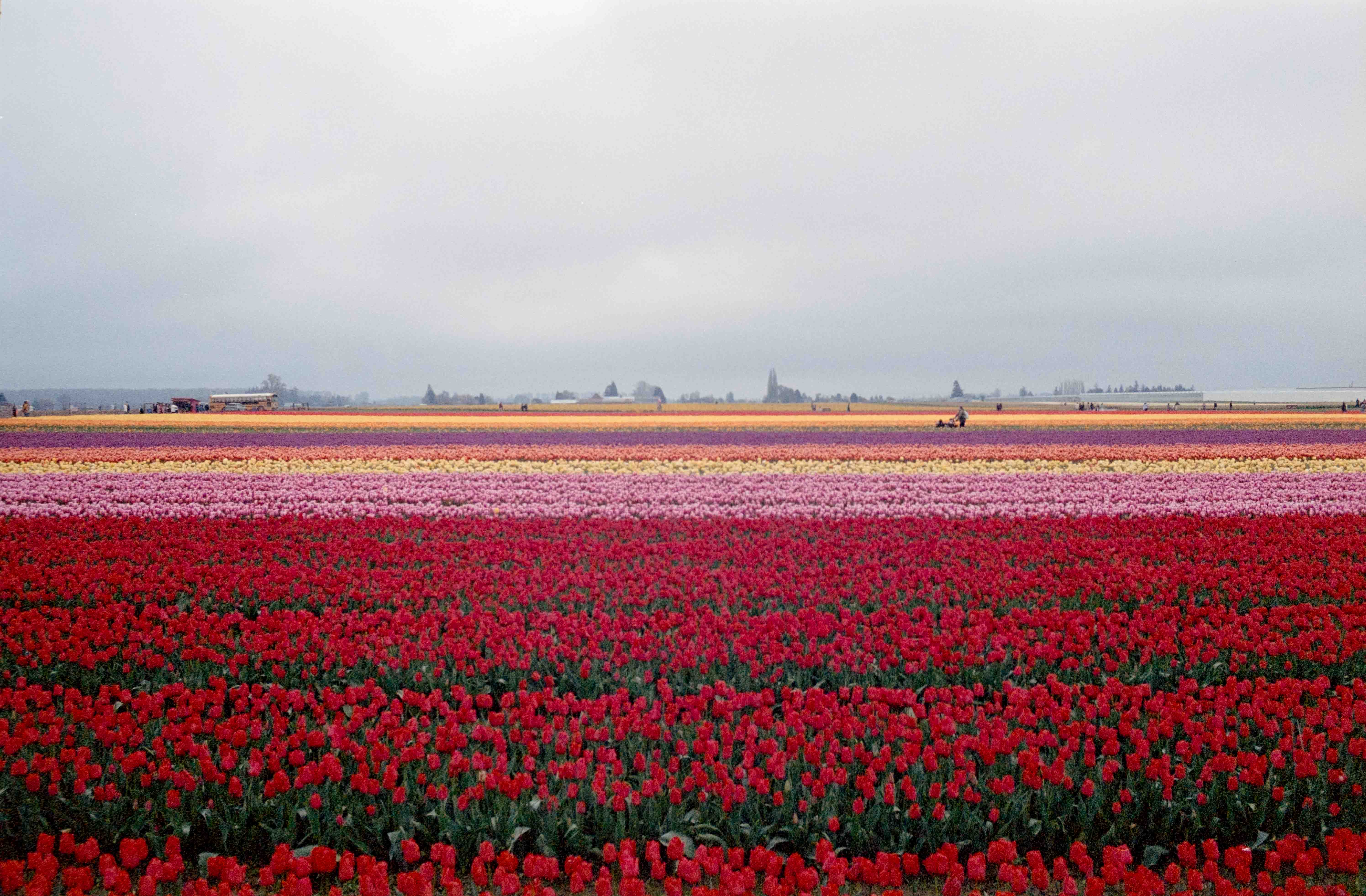 DSCF0189