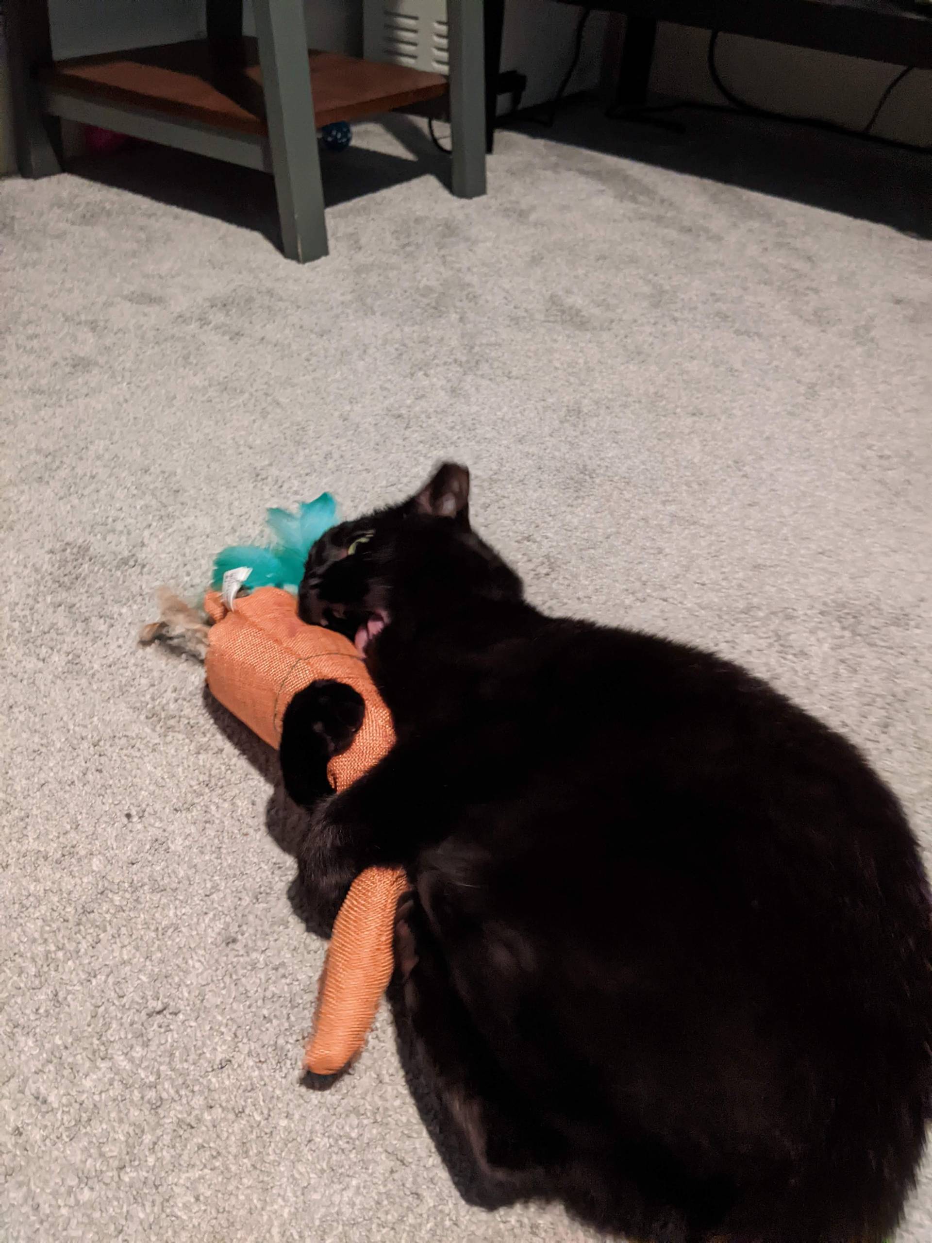 PXL 20230830 005101907